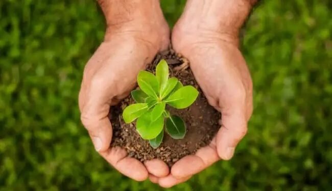 क्या है Sustainable Agriculture, कैसे मजबूत हुई पहचान, और क्या है भविष्य और चुनौतियां