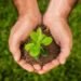 क्या है Sustainable Agriculture, कैसे मजबूत हुई पहचान, और क्या है भविष्य और चुनौतियां