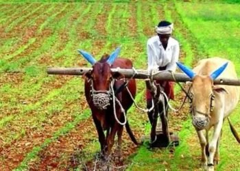 जानें क्या है ‘रायथा समृद्धि योजना’, जिसकी शुरु होते ही किसानों को मिलेगा सीधा फायदा