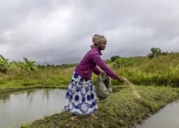 महिलाओं को मिलेंगे 2100 रुपये प्रति माह, 5 हजार करोड़ का बजट, जानें क्या है खास?