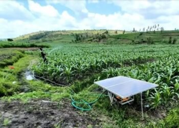 सरकार दे रही सोलर पंप लगाने पर सब्सिडी, अब किसानों को नहीं होना पड़ेगा सिंचाई के लिए परेशान!