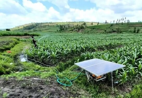 सरकार दे रही सोलर पंप लगाने पर सब्सिडी, अब किसानों को नहीं होना पड़ेगा सिंचाई के लिए परेशान!