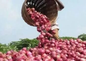 रबी की बंपर फसल के मद्देनजर केंद्र सरकार ने 1 अप्रैल से प्याज के निर्यात पर 20% शुल्क वापस ले लिया