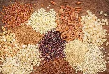 मोटे अनाज पर कब मिलेगी MSP, किसानों ने उठाई आवाज!