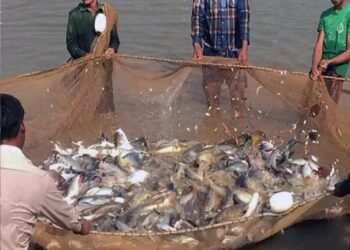 कैबिनेट ने मत्स्य पालन और एक्वाकल्चर इंफ्रास्ट्रक्चर डेवलपमेंट फंड को स्वीयकृति दी