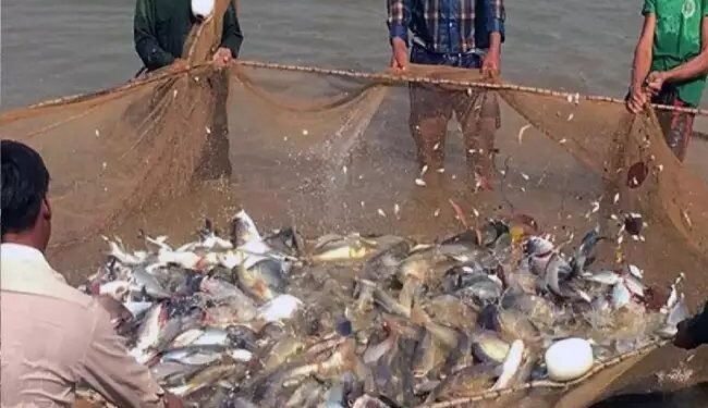 कैबिनेट ने मत्स्य पालन और एक्वाकल्चर इंफ्रास्ट्रक्चर डेवलपमेंट फंड को स्वीयकृति दी