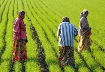UP: किसानों के खाते में आएगी पीएम किसान की राशि, ऐसे चेक करें स्टेटस