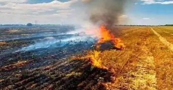पंजाब में पराली जलाने वालों की संख्या बढ़ी, जानें क्या है राज्य का AQI?