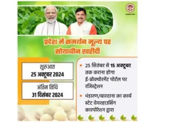 MSP पर सोयाबीन खरीद के लिए रजिस्ट्रेशन शुरू, ऐसे करें आवेदन