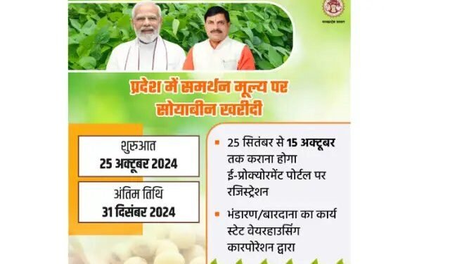 MSP पर सोयाबीन खरीद के लिए रजिस्ट्रेशन शुरू, ऐसे करें आवेदन