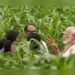 भारत को जलवायु-अनुकूल फसल किस्में विकसित करने की आवश्यकता है: आर्थिक सर्वेक्षण