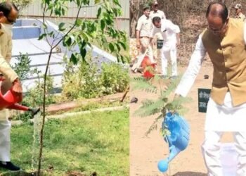 कृषि मंत्री के हर दिन पौधा लगाने के संकल्प को पूरे हुए 4 साल, आज जटाशंकल में करेंगे पौधारोपण