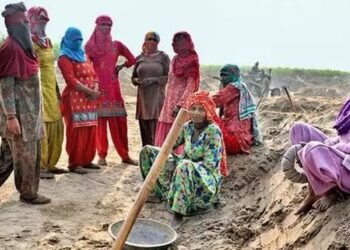 AIC बीमा कंपनी की महिलाओं के लिए ऑफर, जल्द करें आवेदन, जमा करने होंगे ये दस्तावेज