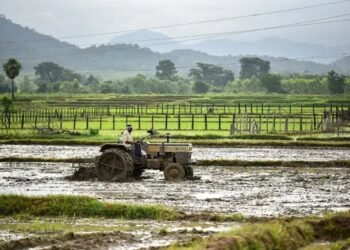 बारिश के मौसम में फसलों में नहीं लगेंगे कीट, इन दवाओं का करें इस्तेमाल