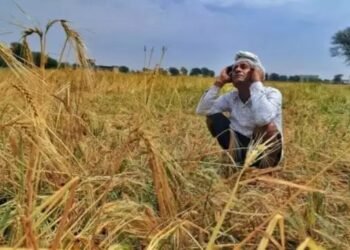 केंद्र का निर्देश, 5 दिन में हो फसल बीमा का क्लेम जारी, 72 गांवों को मिलेगा फायदा