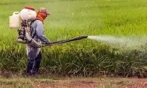 एग्रोकेमिकल्स निर्यात 4 साल में 80,000 करोड़ रुपये तक पहुंच सकता है: ACFI-EY रिपोर्ट
