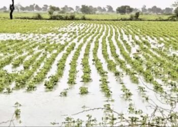 कई राज्यों में बेमौसम बारिश से किसान परेशान, किसानों की फसलों हुई नष्ट