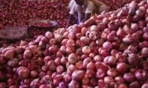 प्याज की खरीद में जिला प्रशासन को शामिल किया जाना चाहिए: मंत्रालय
