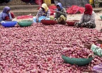 प्याज कीमतों में नहीं हो रहा सुधार, जानें क्या है मंडियों के भाव?