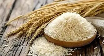 भारतीय चावल की बढ़ी ग्लोबल मार्केट में डिमांड, इंडोनेशिया करेगा भारी खरीदी!