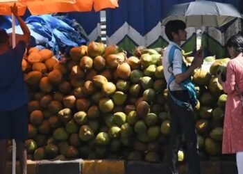डीहाइड्रेशन से दूर रखता है नारियल का पानी, जानें क्यों है गर्मियों के लिए फायदेमंद?