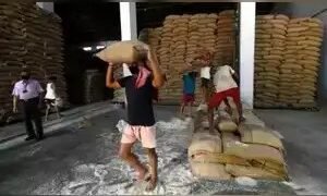 एफसीआई 25 मार्च तक खुले बाजार में 25 लाख मीट्रिक टन गेहूं की बिक्री की पेशकश करेगा