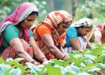 योगी सरकार की नई पहल, प्राकृतिक खेती की ट्रेनिंग देने वाली महिलाओं को मिलेंगे 5 हजार प्रति माह!