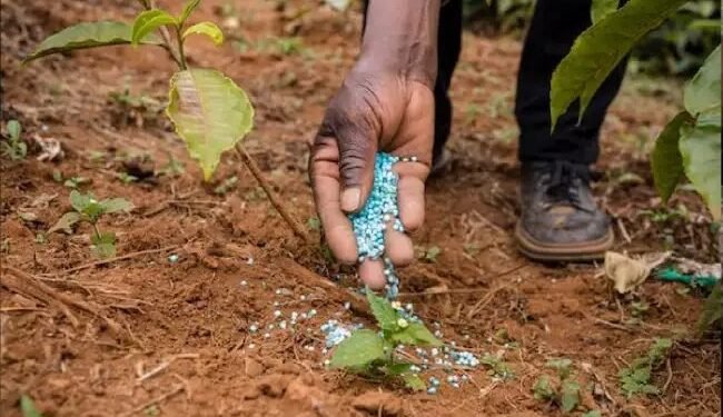 कैबिनेट ने यूरिया के लिए घरेलू गैस की आपूर्ति के लिए विपणन मार्जिन को अनुमति दी