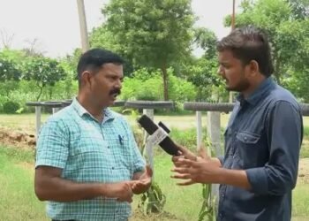केवीके बागपत में हो रही ड्रैगनफ्रूट की खेती, वैज्ञानिक ने दी महत्वपूर्ण जानकारी!