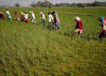 भारत को कृषि-वस्तुओं के अधिक आयात शुल्क में कमी करनी होगी
