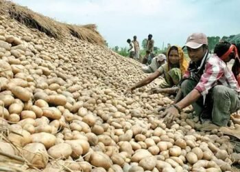 दामों से ओडिशा की जनता परेशान, आलू ने लगाई हॉफ सेन्चुरी