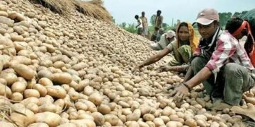 दामों से ओडिशा की जनता परेशान, आलू ने लगाई हॉफ सेन्चुरी