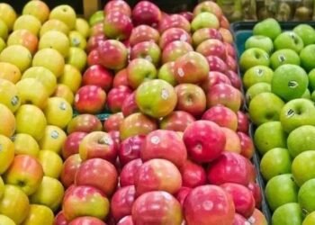 सावधान!, फलों पर लगे स्टीकर खराब कर सकते हैं आपकी सेहत, जानें वजह