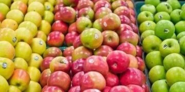 सावधान!, फलों पर लगे स्टीकर खराब कर सकते हैं आपकी सेहत, जानें वजह