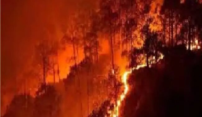 कैबिनेट सचिव ने गर्मी और जंगल की आग से निपटने की तैयारियों की समीक्षा की