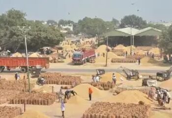 हिसार के धान उत्पादन में गिरावट, अनुमान से कम हुई आवक, DAP की बढ़ी डिमांड!