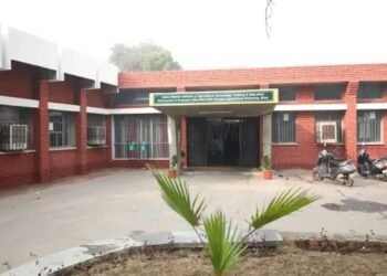 एचएयू में तीन दिवसीय मशरूम उत्पादन तकनीक पर प्रशिक्षण 13 से शुरू