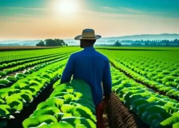 मध्य प्रदेश में प्राकृतिक खेती की ओर बढ़ रहे किसान, 72 हजार ने बताया अपना रुझान!