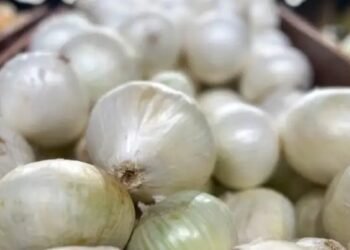 लहसुन का गिरा भाव, किसान परेशान, जानें क्या हैं मंडियों के दाम?