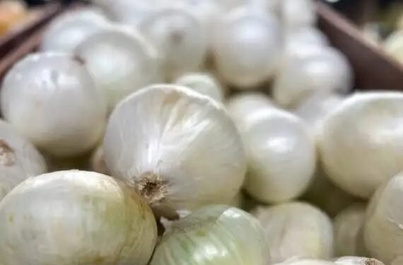 लहसुन का गिरा भाव, किसान परेशान, जानें क्या हैं मंडियों के दाम?