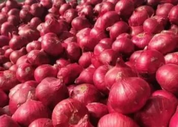 मंडियों में प्याज के भाव, क्या सरकार हटाएगी प्याज निर्यात पर शुल्क?