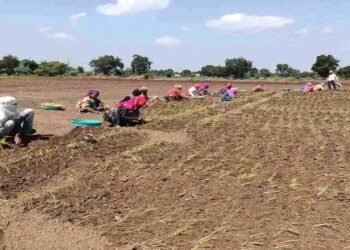 गुजरात में बाढ़- बारिश से प्रभावित किसानों को मिलेंगे 22000 रुपये, सरकार की घोषणा