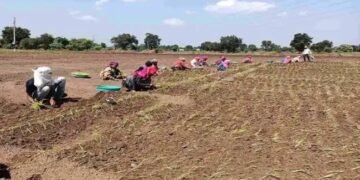 गुजरात में बाढ़- बारिश से प्रभावित किसानों को मिलेंगे 22000 रुपये, सरकार की घोषणा