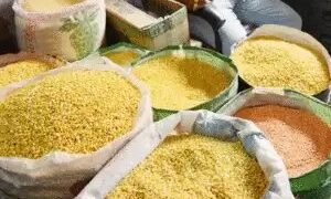 पहली बार सरकार ने दालों की अनुबंध खेती के लिए समझौता किया