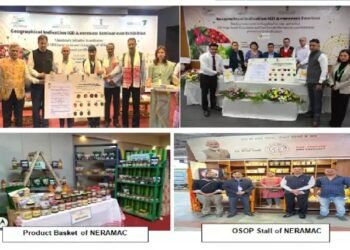 एनईआरएएमएसी ने अपने अम्ब्रेला ब्रांड के तहत 140 मीट्रिक टन से अधिक उपज खरीदी