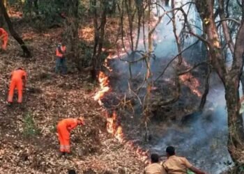 अब तक नहीं बुझ पाई उत्तराखंड के जंगलों में लगी आग