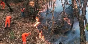 अब तक नहीं बुझ पाई उत्तराखंड के जंगलों में लगी आग