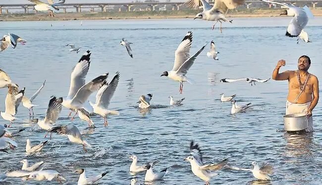 महाकुंभ के 15 दिन बाद संगम घाट से आई खुश कर देने वाली खबर, वैज्ञानिक भी हैरान