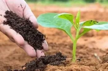 नकली सामान बेचने वालों को होगी 3 साल की जेल, 5 लाख जुर्माना, सरकार ने किया ऐलान!