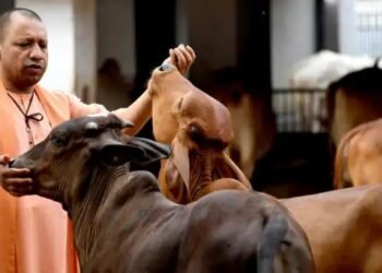 सरकार की बड़ी तैयारी, ऐसे बढ़ेगे दुग्ध का उत्पादन, पशुपालकों की आय में होगी बढ़ोतरी